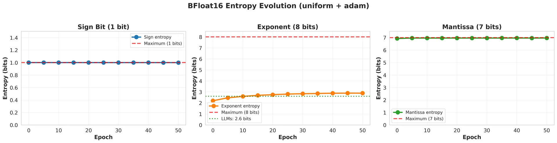 Entropy Evolution